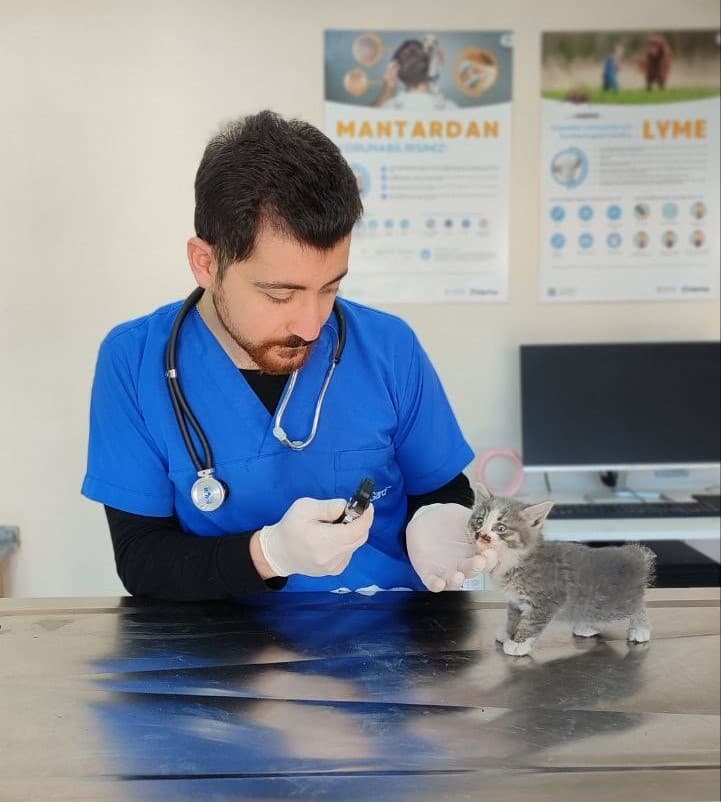 Veteriner Enes Turan Seval